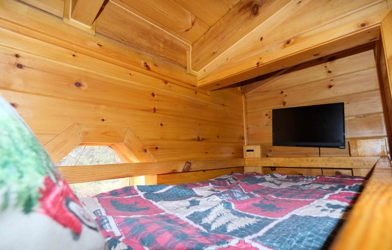 Lazy Bear Lodge Гатлинбург Экстерьер фото